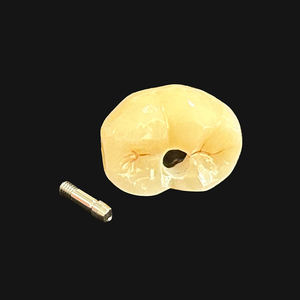 Couronnes d'implant en zircone <span class=keywords><strong>ciment</strong></span> à vis retenu Chine prix de laboratoire <span class=keywords><strong>dentaire</strong></span> en gros compétitif - Product Image 2