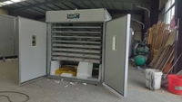 Incubateur électrique entièrement automatique 12v Dc 110v 220v Ac, incubateur à œufs 2000 œufs, poulet