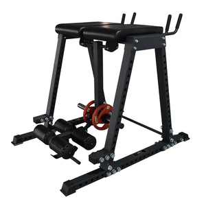 Equipo de gimnasio de Fitness comercial, hiperextensión inversa - Product Image 2