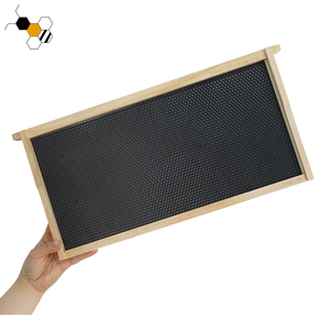 Wooden bee hive frames with plastic foundation sheet assembled pine bee frames