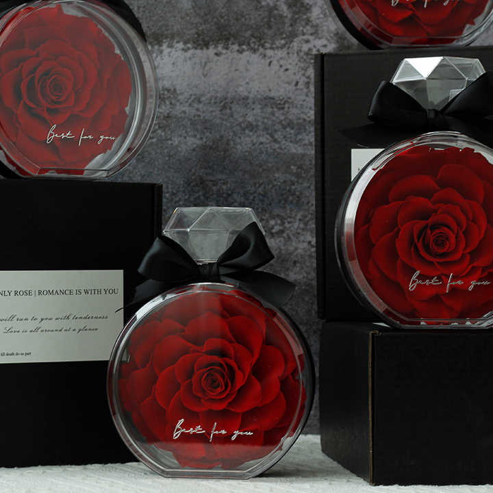 Preservation Flowers wholesale Home Decor Preservation Roses with Long