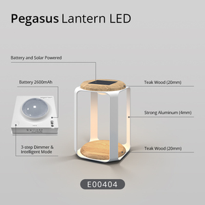 Azienda personalizzata sensore intelligente solare lampada da terra a batteria solare alimentato a luce calda lanterna led <span class=keywords><strong>per</strong></span> <span class=keywords><strong>esterni</strong></span> - Product Image 3