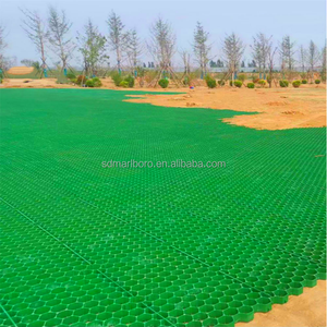 Heavy Duty HDPE 48mm Grass Paver Grille pour Jardin Perméable Drive Way Gravier Pose <span class=keywords><strong>Dalles</strong></span> De <span class=keywords><strong>Béton</strong></span> Stabilisateur De Sol - Product Image 6