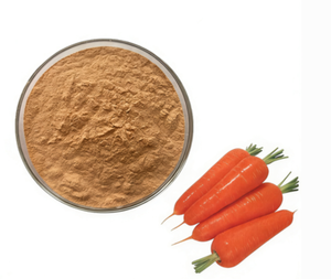 Poudre de carotte, poudre naturelle de fruits et légumes, matière première spéciale pour les boissons et la pâtisserie - Product Image 1