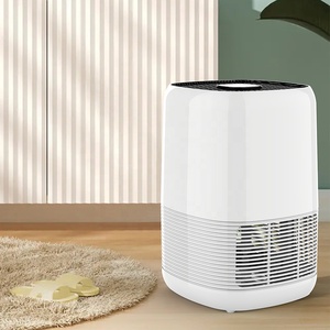 Ioniseur électrique portable, contrôle du filtre composite HEPA, élimination des gaz nocifs, odeur, charbon actif, ions négatifs, <span class=keywords><strong>purificateur</strong></span> <span class=keywords><strong>d</strong></span>'<span class=keywords><strong>air</strong></span> OEM - Product Image 3