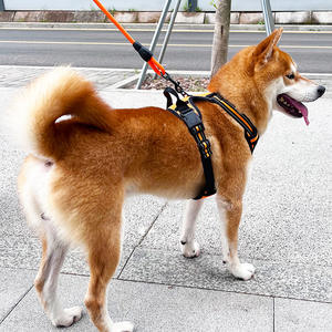大型犬用ナイロン犬用ハーネスリーシュ小型ゴールデンレトリバーラボ固体厚手パッド入りベストスタイルペット用品 - Product Image 2