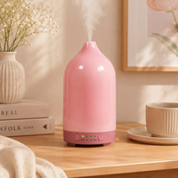 Diffuseur d'arômes en verre de 100 ml, directement de l'usine, diffuseur d'huiles essentielles ultrasonique avec minuterie et lumière LED, OEM ODM, logo personnalisé