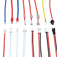 Harnais de câblage personnalisé JST SHD 1.0 300mm, assemblage de câbles PVC 2x15P pour appareils électroménagers, machines, automobiles et électronique OEM/ODM