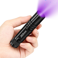 Lampe torche UV LED portable 365 nm, mini lampe ultraviolette, corps en aluminium IP65, piles AA, accessoires, détecteur, lampe torche pour les soins des animaux de compagnie