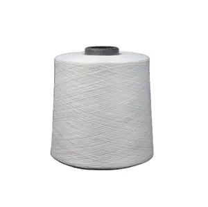 Fabricant de Fils De Polyester Prix 150 Deniers DTY 150D 48F 2 PLIS SD RW LUI Échantillon de Stock Directement la Commande est Prise En Charge