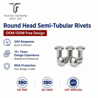 Rivets semi-tubulaires à tête ronde personnalisés TianFang pour la production de ceintures en cuir, acier oxydé noir, tailles personnalisées, fourniture OEM ODM