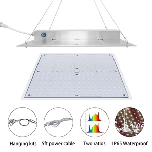 Cho liweida 70watt đèn trắng New 730nm COB <span class=keywords><strong>LED</strong></span> Board Dimmer cho nhà máy trong nhà dọc Farming UV và <span class=keywords><strong>IR</strong></span> IP65 đánh giá - Product Image 3