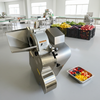 Commerciële automatische diepvriesvlees-snijmachine voor het snijden van vlees, fruit, groenten en aardappelen in blokjes