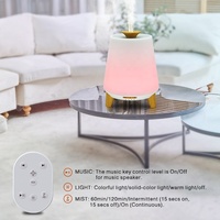 Diffuseur d'arômes pour la maison 300 ml