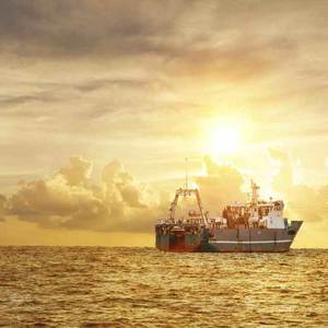 Snelle Vracht Verzending Zeevracht Ddp Service Van China Naar Burkina Faso <span class=keywords><strong>Cameroon</strong></span> Cote D'ivoire Levering Aan Deur Expediteur - Product Image 5