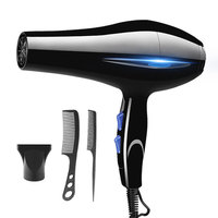 Secador de Pelo de Alta Potencia con Accesorios de Peinado, Secador Profesional para Hombres y Mujeres