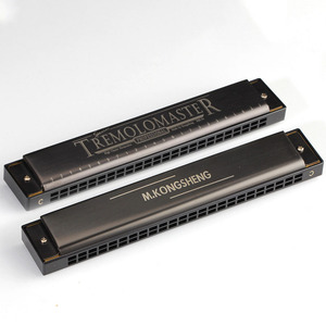Ventas directas de fábrica Cuerpo de aluminio de 24 agujeros C-Major Diatonic Eco-Friendly Gold Finish Harmonica para estudiantes Principiantes Adultos - Product Image 4