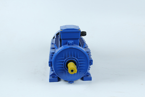 220V 380V Điện Áp Thấp QuạT Bơm AC <span class=keywords><strong>Mo</strong></span> Hiệu Suất Cao Cảm Ứng Ba Pha Không Đồng Bộ YEJ YE3 Y2 Y YX3 Sóc Lồng - Product Image 6