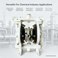 Pompe à double diaphragme haute pression à commande pneumatique avec valve d'air métallique OEM, résistante à la corrosion, en PP PVDF AODD pour le transfert de produits chimiques