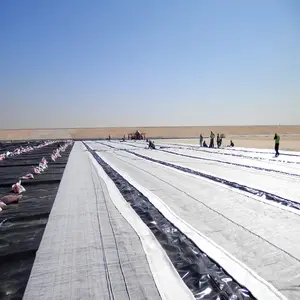 Geosynthetische Kleiliner (Gcl) Voor Stortplaats En Kelderbekleding En Waterdichting