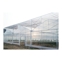 Serres agricoles en film PE, structure multi-spans en acier galvanisé, kit complet pour l'agriculture