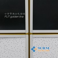 Système FUT - Composants de plafond en acier galvanisé, accessoires pour cloisons sèches, profilés en acier léger, canaux de suspension, grille de plafond suspendu