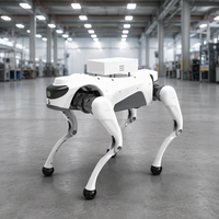 Robot chien Tech Expo : un jouet éducatif programmable pour enfants, capable de danser et de rester debout à l'envers