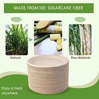 Assiette compostable de 6 pouces 100 Pack Assiette à bagasse jetable naturelle Assiette écologique en fibre de canne à sucre