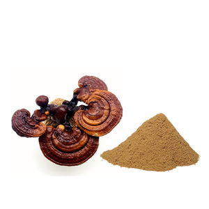 50% สกัดเห็ดหลินจือ - Product Image 1