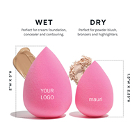 Ensemble de 8 Éponges de Maquillage de Haute Qualité avec Étui – Kit de Maquillage Complet