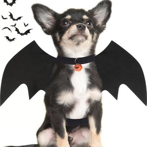 Halloween Bat Wings Costume <b>For</b> Dogs And <b>Cats</b> Black With Pumpkin Bell Vampire Style Pet <b>Clothes</b> - Product Image 1