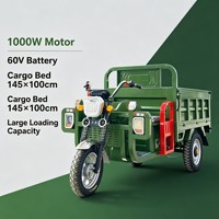 Kart électrique tout-terrain 750W 48V pour adultes avec batterie 20Ah, moteur BLDC, transmission par arbre, buggy des dunes, utilisation en extérieur, 70 km/h, charge 200 kg