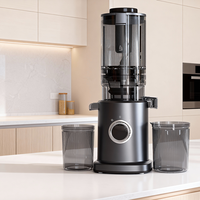 Extracteur de jus masticateur à large goulotte de 126 mm pour fruits, best-seller, prix d'usine