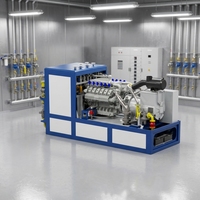 110V/220V 180KW/225KVA 50Hz 60Hz Erneuerbare Energie Auto Start Biogas Kombinierte KWK-Einheiten für Wärme und Leistung