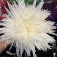 Plumes de coq naturelles en gros de 4 à 8 pouces pour la fabrication de chapeaux, éventails, artisanat, arrangements floraux de mariage et décoration