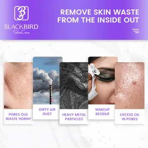 Customized Organic Clarifying Charcoal Whipped Indulgence Blemish Pore Cleaner Refining Firming Whitening Detox Clay Facial Mask