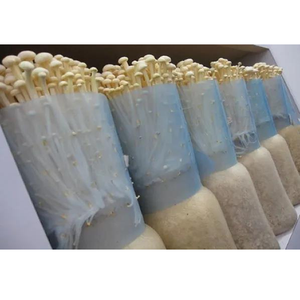 Botellas de cultivo de hongos ecológicas: boca ancha, transpirables, reutilizables, resistentes a altas temperaturas - Product Image 3