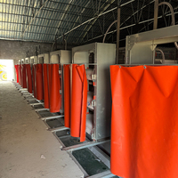 Système de cages en batterie automatiques de type H pour poulets de chair et poules pondeuses
