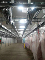 Conception de petit Abattoir de porc, équipement d'abattage de cochon, superbe boîte