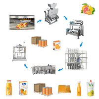 Industriële Citroenpers Limoenpers Fruit Juicer Productielijn Verwerkingsmachine, Gebotteld Citroensap Productielijn
