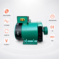 STC Serie Dreiphasiger AC-Synchrongenerator 3kW 5kW 10kW 15kW Bürstendynamo-Alternator für Beleuchtungsstromquelle