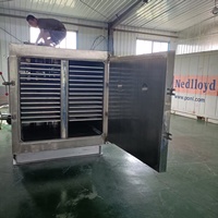 Lyophilisateur sous vide pour viande de bœuf/de porc - Machine de transformation de collations à base de viande séchée