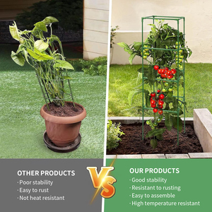 Cage à tomates à 3 anneaux assemblée en usine, nouveau <span class=keywords><strong>support</strong></span> de <span class=keywords><strong>plantes</strong></span> de jardin <span class=keywords><strong>pour</strong></span> la vente en gros - Product Image 2