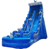 Toboggan gonflable géant de jeux gonflables personnalisés en PVC de haute qualité pour enfants toboggans aquatiques commerciaux gonflables pour adultes
