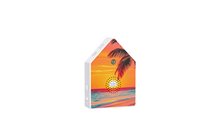 Caja de Música de Terapia de Sonido Electrónica con Sonidos de Aves y Naturaleza, Activada por Sensor de Movimiento, Funciona con Batería, Diseño Moderno y Ecológico - Product Image 2