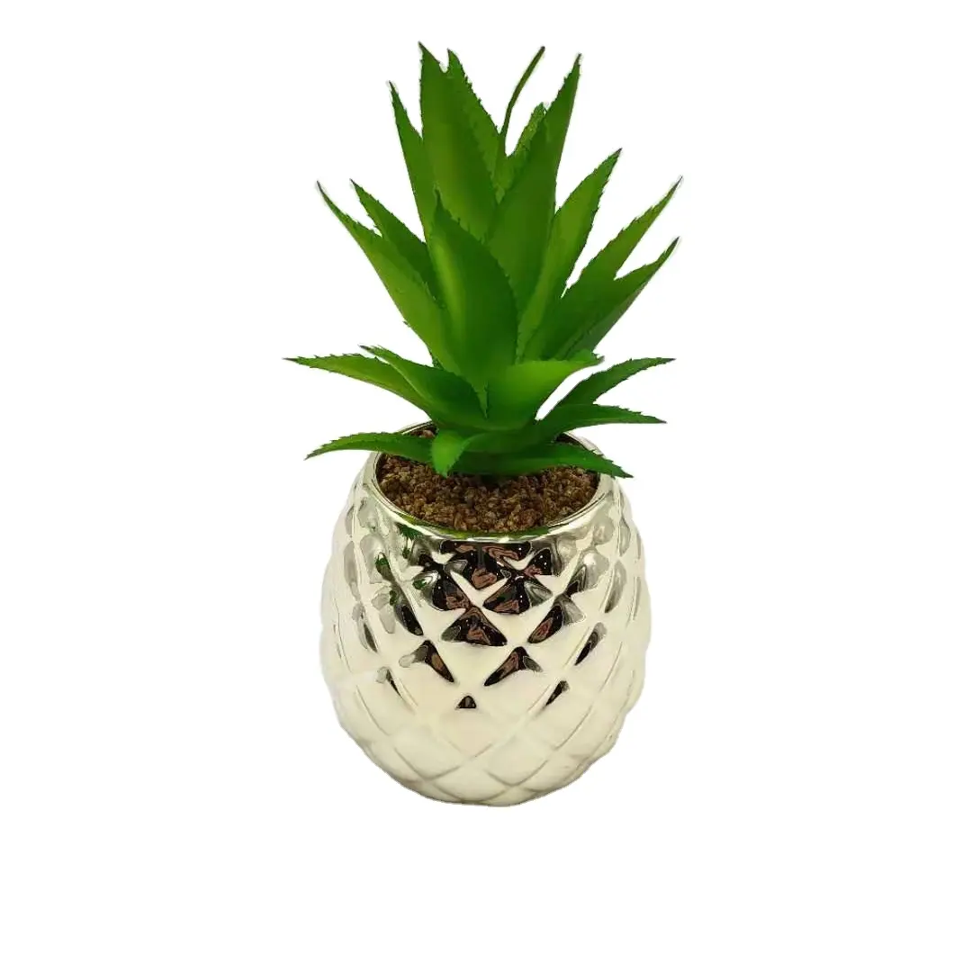 Vetplant Potten, Oamceg 3.75 Inch Mini Succulente Planter, Witte Keramische Succulent Cactus Plantenbakken