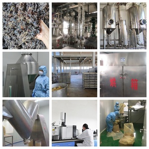 Suministro de fábrica mejor precio EXTRACTO DE <span class=keywords><strong>Asarum</strong></span> 10:1 20:1 Extracto de raíz en polvo EXTRACTO DE Asiasari Radix - Product Image 6