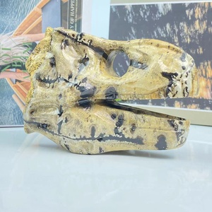 Tinh Thể Tự Nhiên Khủng Long Hộp Sọ Hóa Thạch Mô Hình Khắc Thủ Công Khủng Long Đồ Chơi Đầu Cho Trẻ Em Vui Vẻ Động Vật & Khủng Long Bộ Sưu Tập Mục - Product Image 4