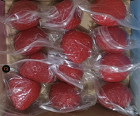 Jouet Squishy Fraise Réaliste en TPR, Jouet Anti-Stress Doux à Presser pour Cadeaux de Fête