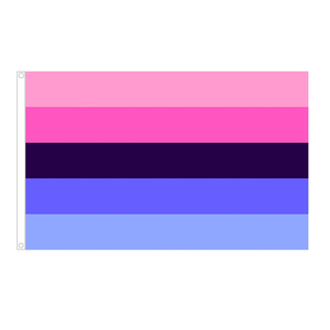 Drapeau de la fierté progressive Arc-en-ciel 3 x 5 pieds Drapeau Gay Lesbienne Transgenre Bisexuel Lgbtq Bannière avec œillets en laiton - Product Image 4